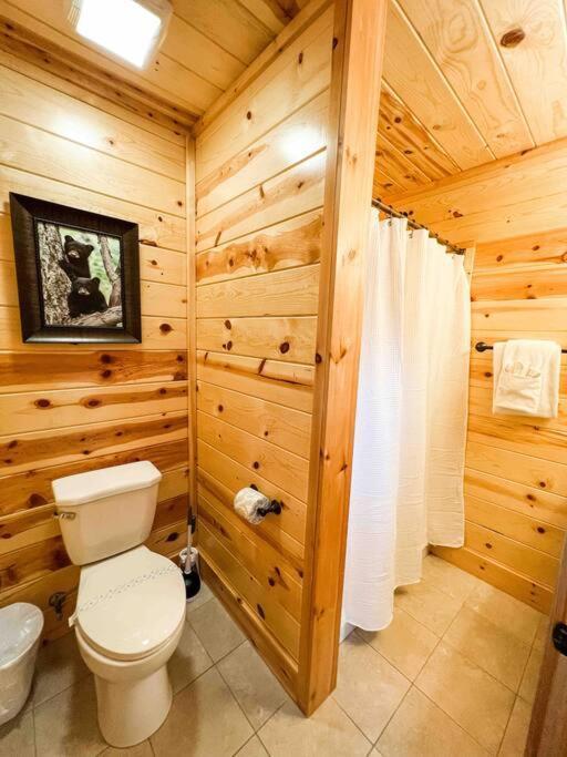Indoor Heated Pool Hot Tub Cabin Sevierville Exterior photo